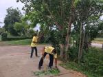 กิจกรรมตัดต้นไม้ กิ่งไม้ตามถนนสายหลัก ถนนสายรอง ประจำเดือนมิ